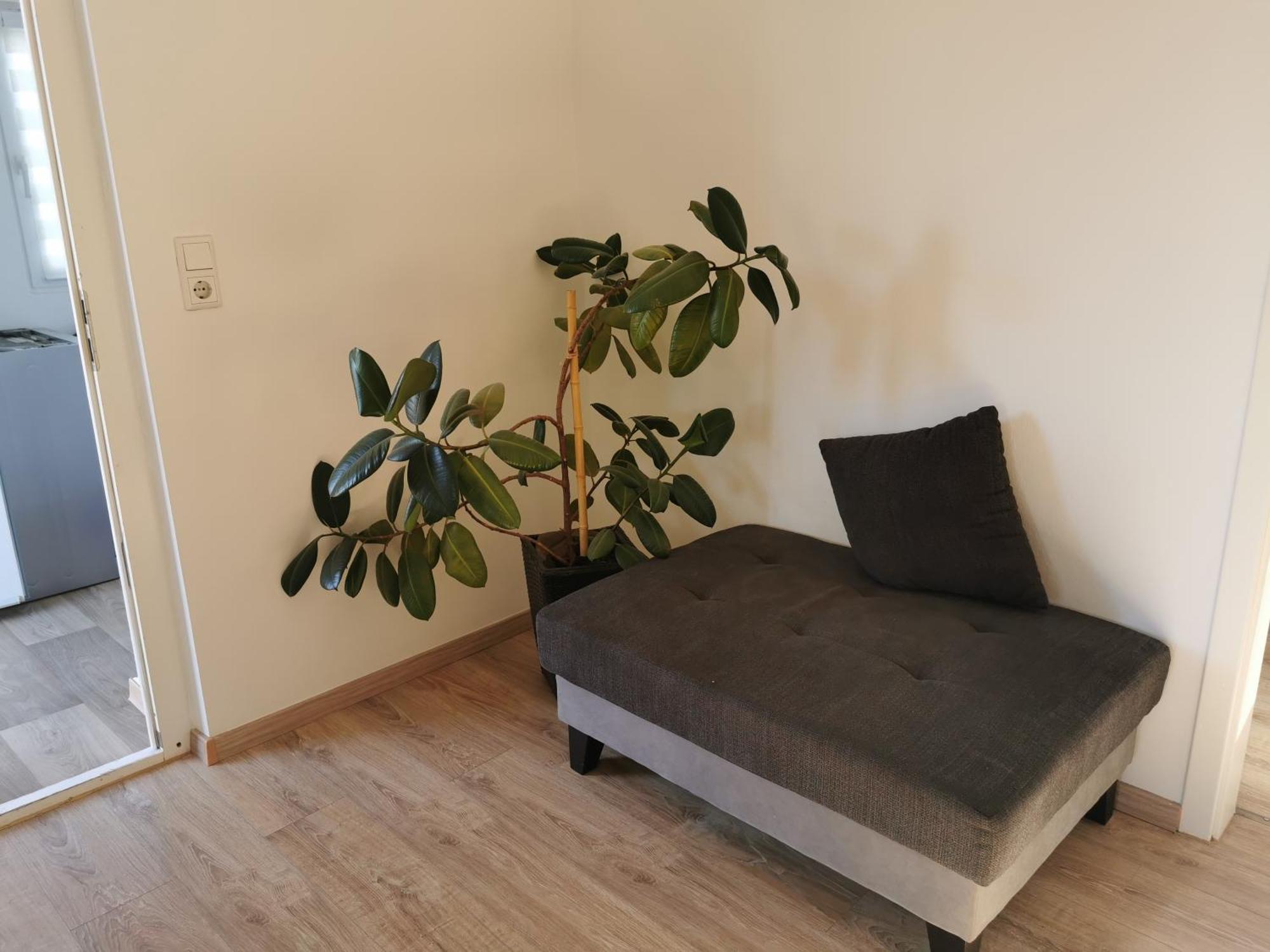 4-Zimmer-Wohnung Mit 6 Betten 巴特恩豪森 外观 照片